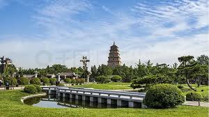 世界杯官网 丽江城市绿化工程包括哪些项目和内容